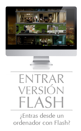 Web Versión Flash