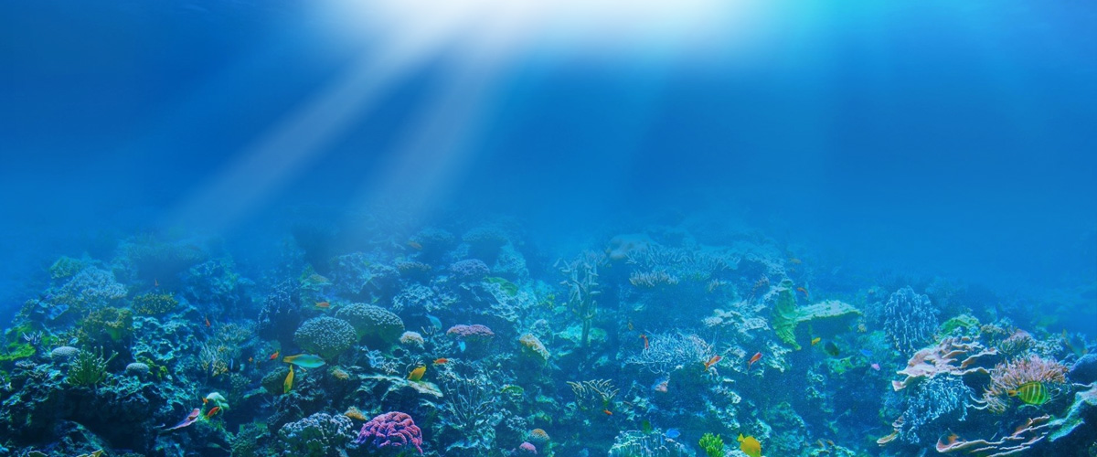 diseño web creativo madrid